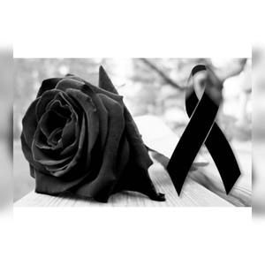 Meet your Posher, Marr